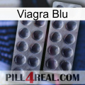 Viagra Blu 31